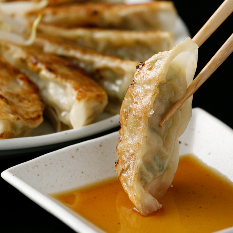 【静岡】特選浜松餃子 45個 産地直送 お取り寄せ 熨斗対応可	