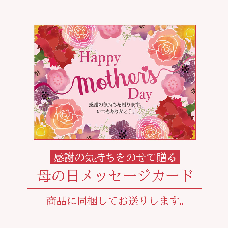 【母の日】瀬戸内花嫁スイーツ 瀬戸内花嫁たい焼き 6種 6個入 母の日カード付【受注締切：4月29日(水)】