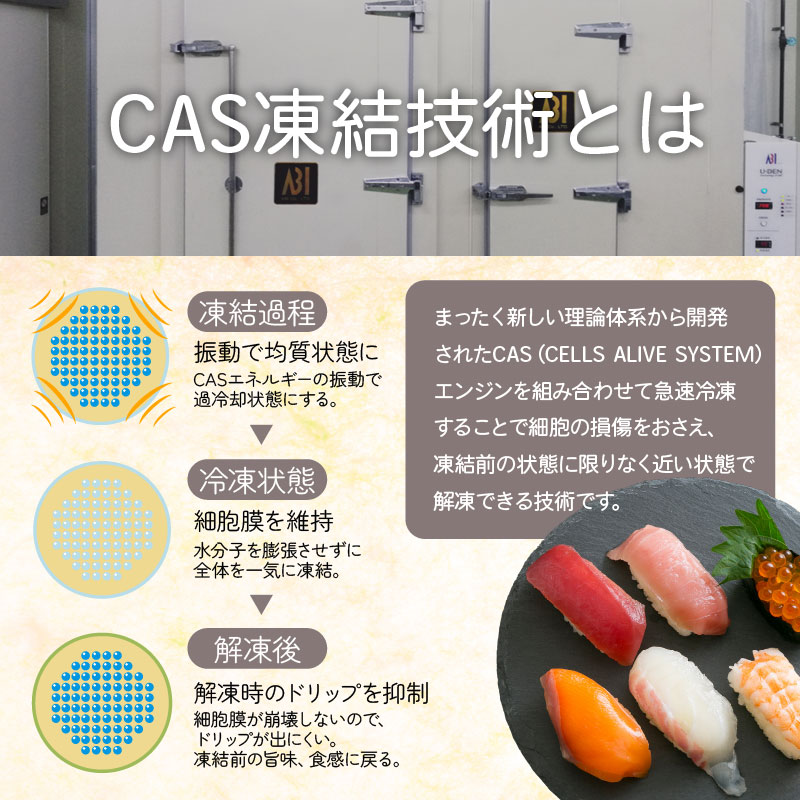 【1パック8個】手毬寿司4種アソートセット | 人気の炙りサーモン、海老、煮穴子、紅ズワイガニをアソートパックにしました セット: 2パック