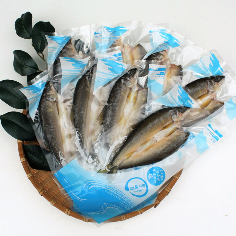 【高知】四万十味紀行 鮎の一夜干し 8尾 熨斗対応可 産地直送 お取り寄せ