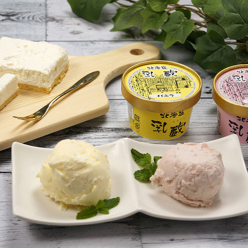 【北海道】乳蔵 北海道アイスとレアチーズケーキ（江戸屋） 産地直送 お取り寄せ 熨斗対応可