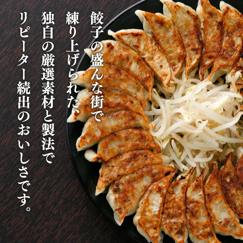 【静岡】特選浜松餃子 30個 産地直送 お取り寄せ 熨斗対応可	