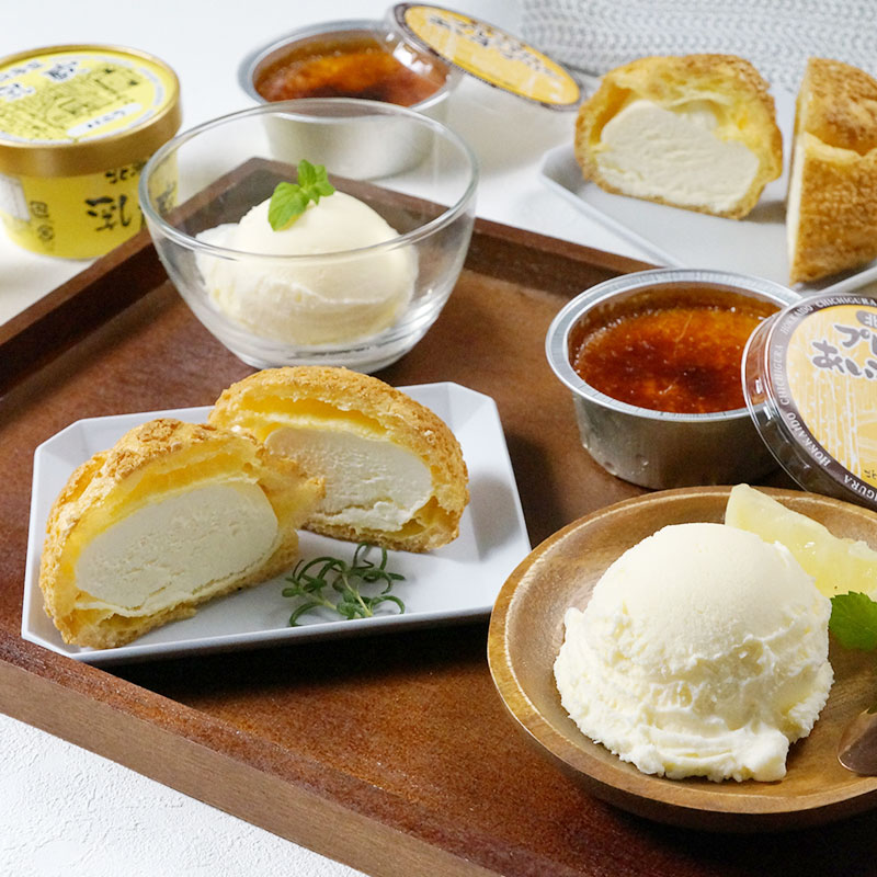 【北海道】乳蔵 北海道夏のひんやりスイーツセット（江戸屋） 産地直送 お取り寄せ 熨斗対応可