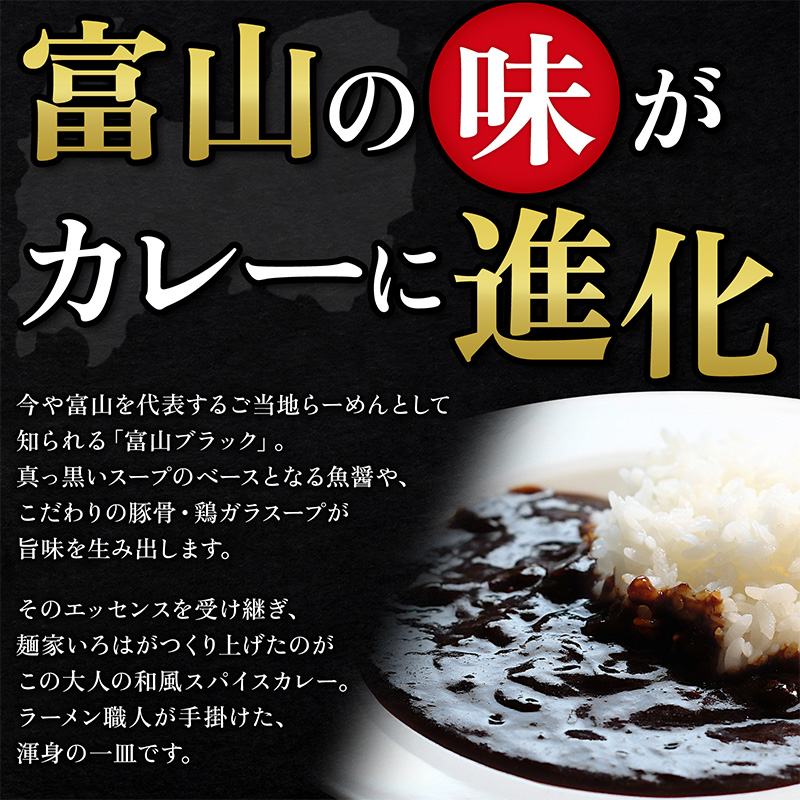 富山ブラックカレー 6食セット