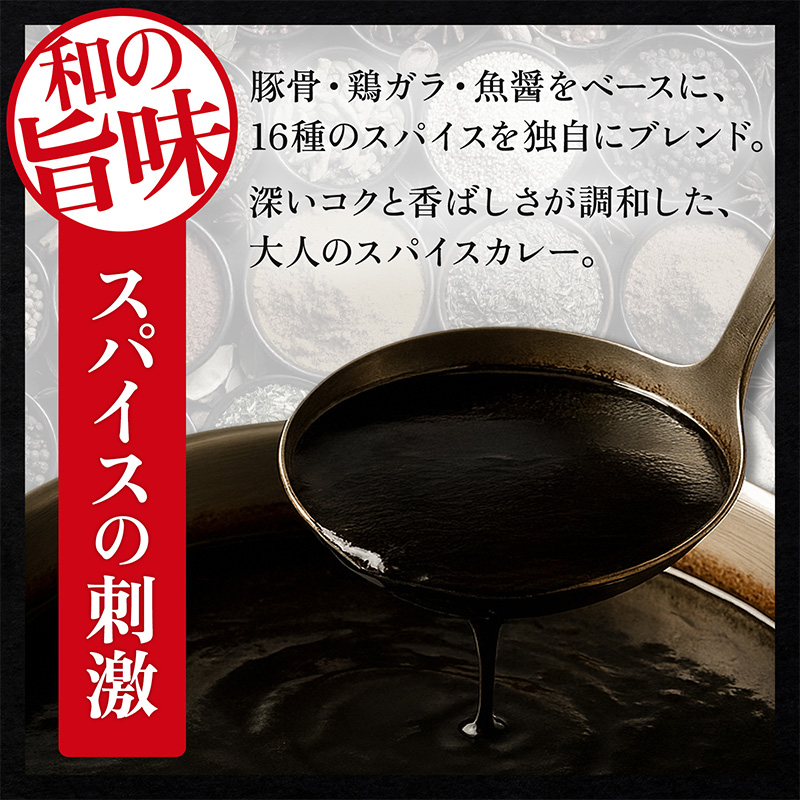 富山ブラックカレー 6食セット