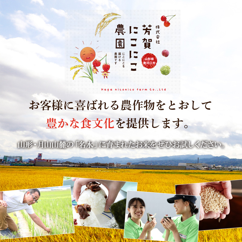 【山形】笑う玄米生活！にこにこ玄米パック(雪若丸玄米） 1袋（300g） 産地直送 お取り寄せ