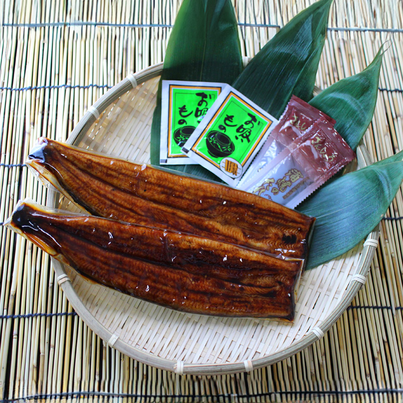 【静岡】浜松・浜名湖  うなぎ蒲焼2人前 長焼き 産地直送 お取り寄せ 熨斗対応可