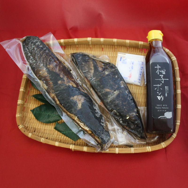 【高知】四万十生産 土佐流 藁（わら）焼き鰹のたたき 600g 5～6人前サイズ  熨斗対応可 産地直送 お取り寄せ