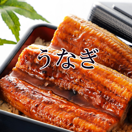 うなぎ