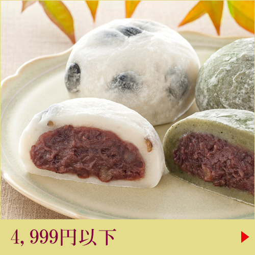 予算～4999円