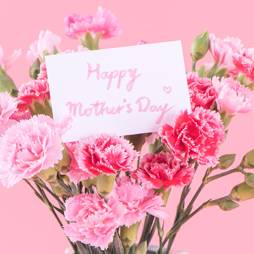 母の日2026 フラワーギフト カーネーション