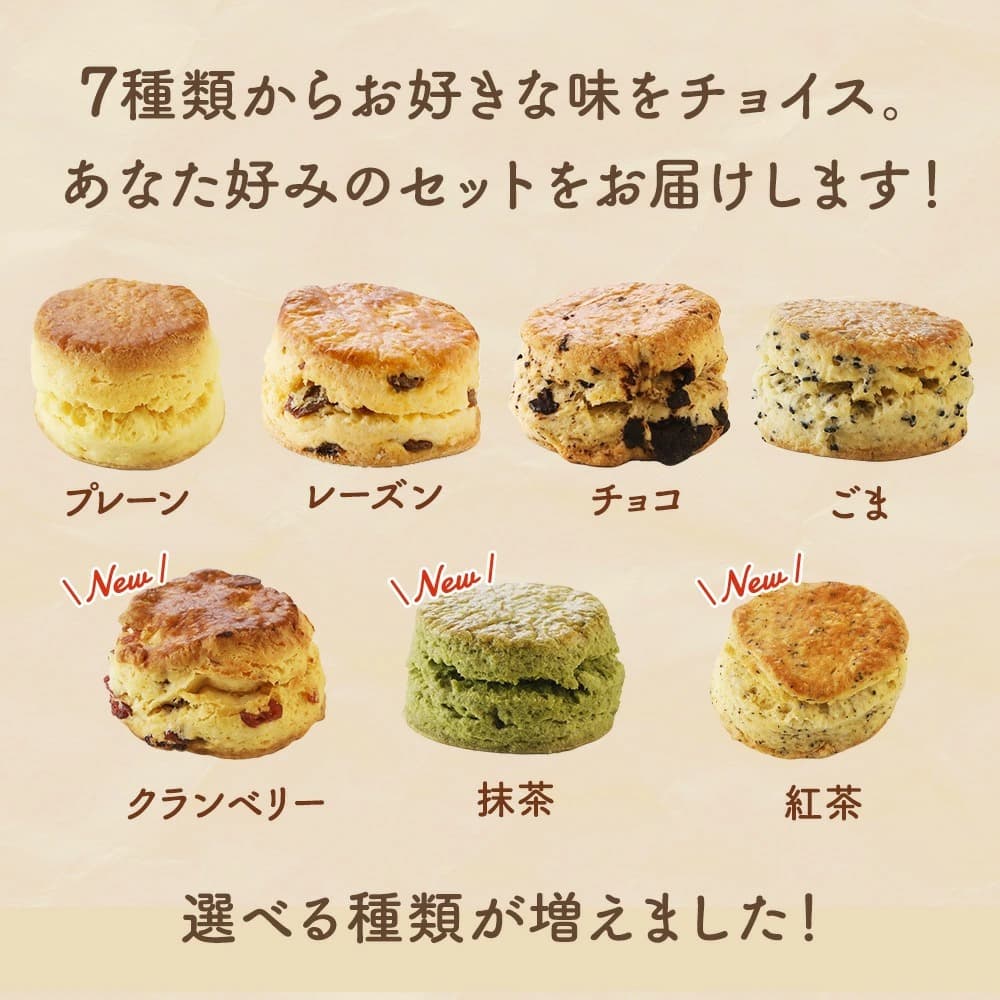 お好みスコーン10個セット