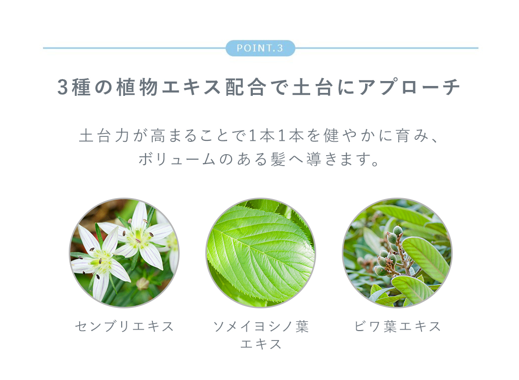 エレクトーレ/ELECTORE公式サイト ｜ 10秒フェイストリートメント