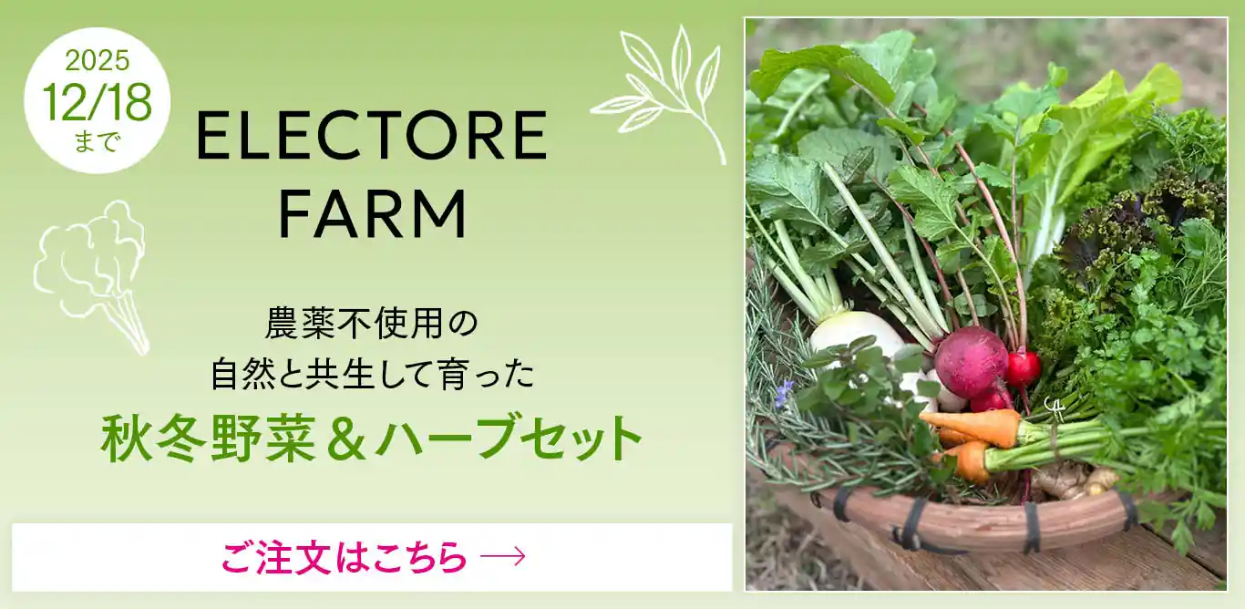 エレクトーレファーム 秋冬野菜&ハーブセット販売中
