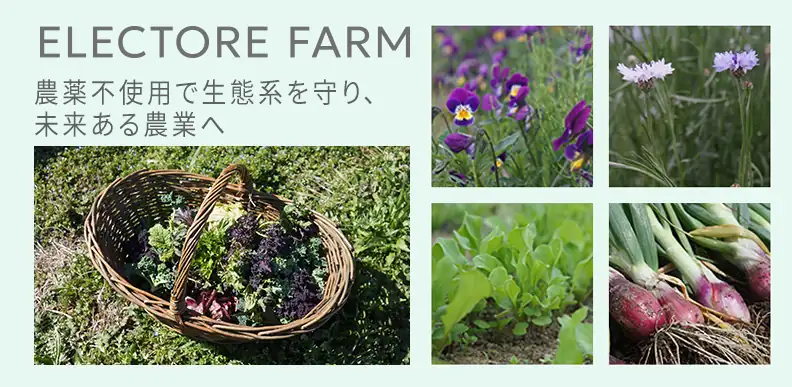 エレクトーレファーム