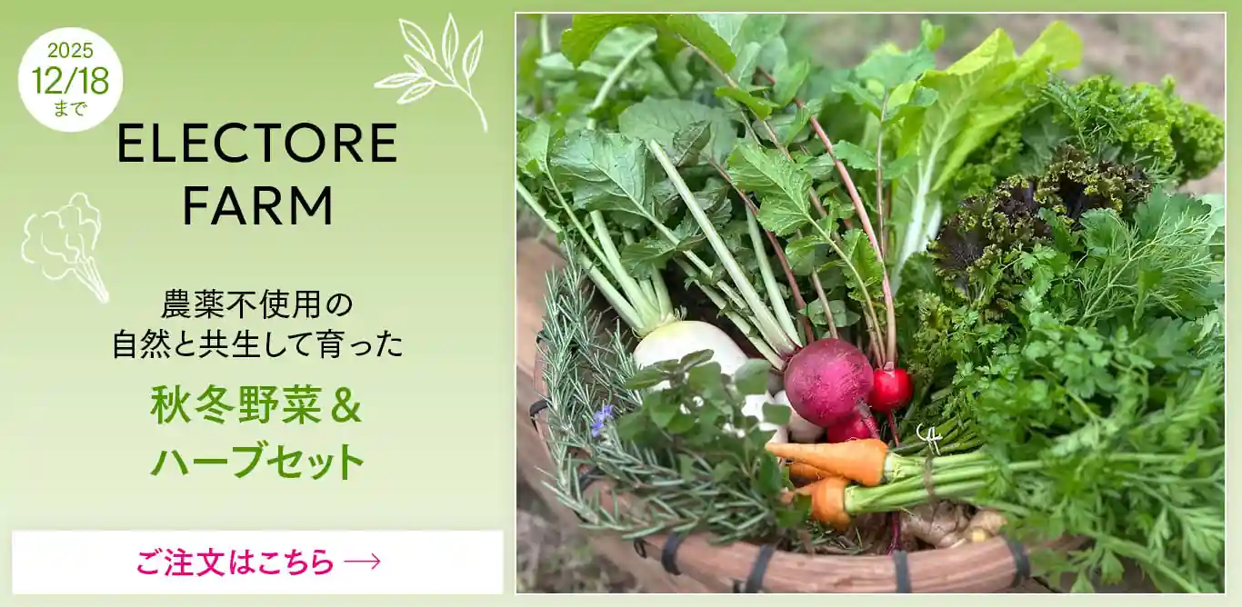 エレクトーレファーム 秋冬野菜&ハーブセット販売中
