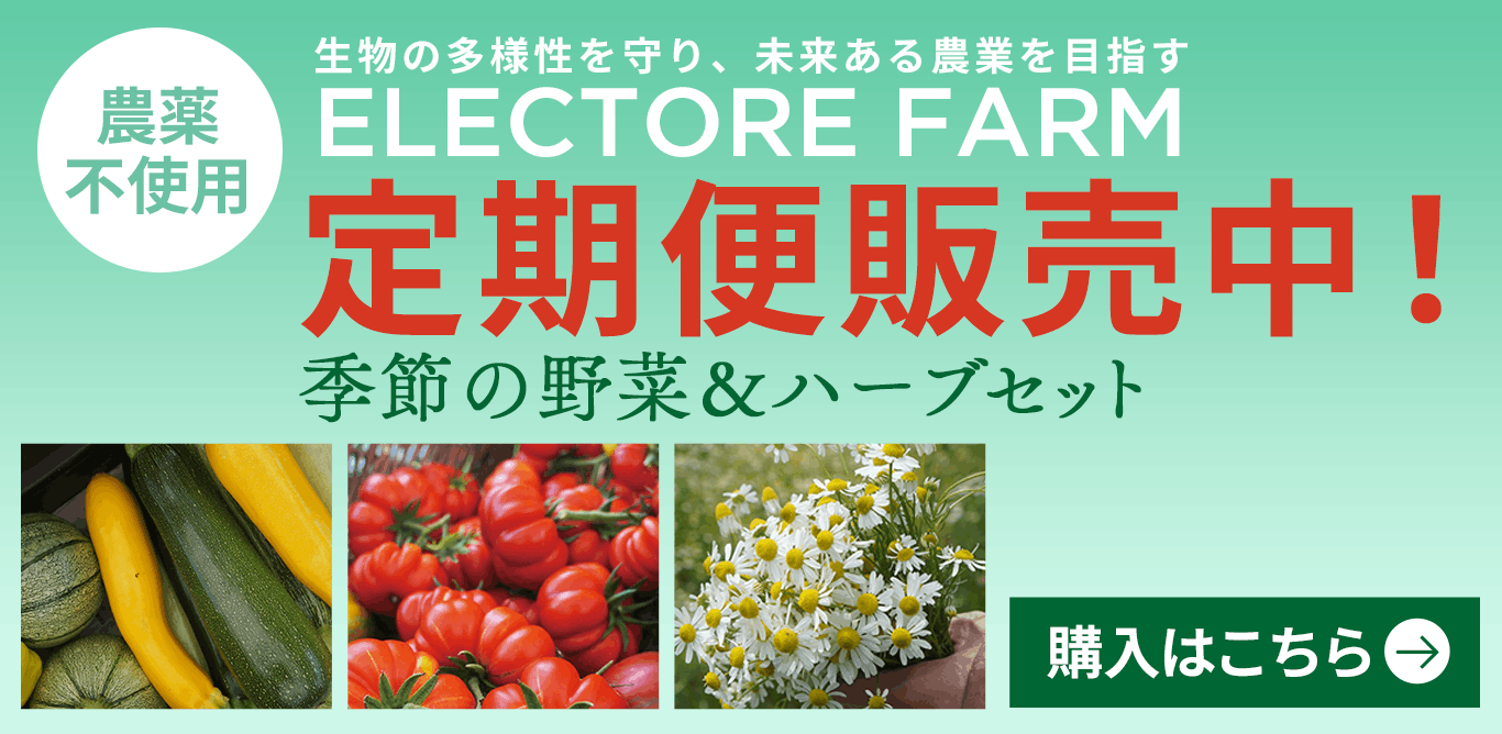 エレクトーレファーム 定期便2026スタート
