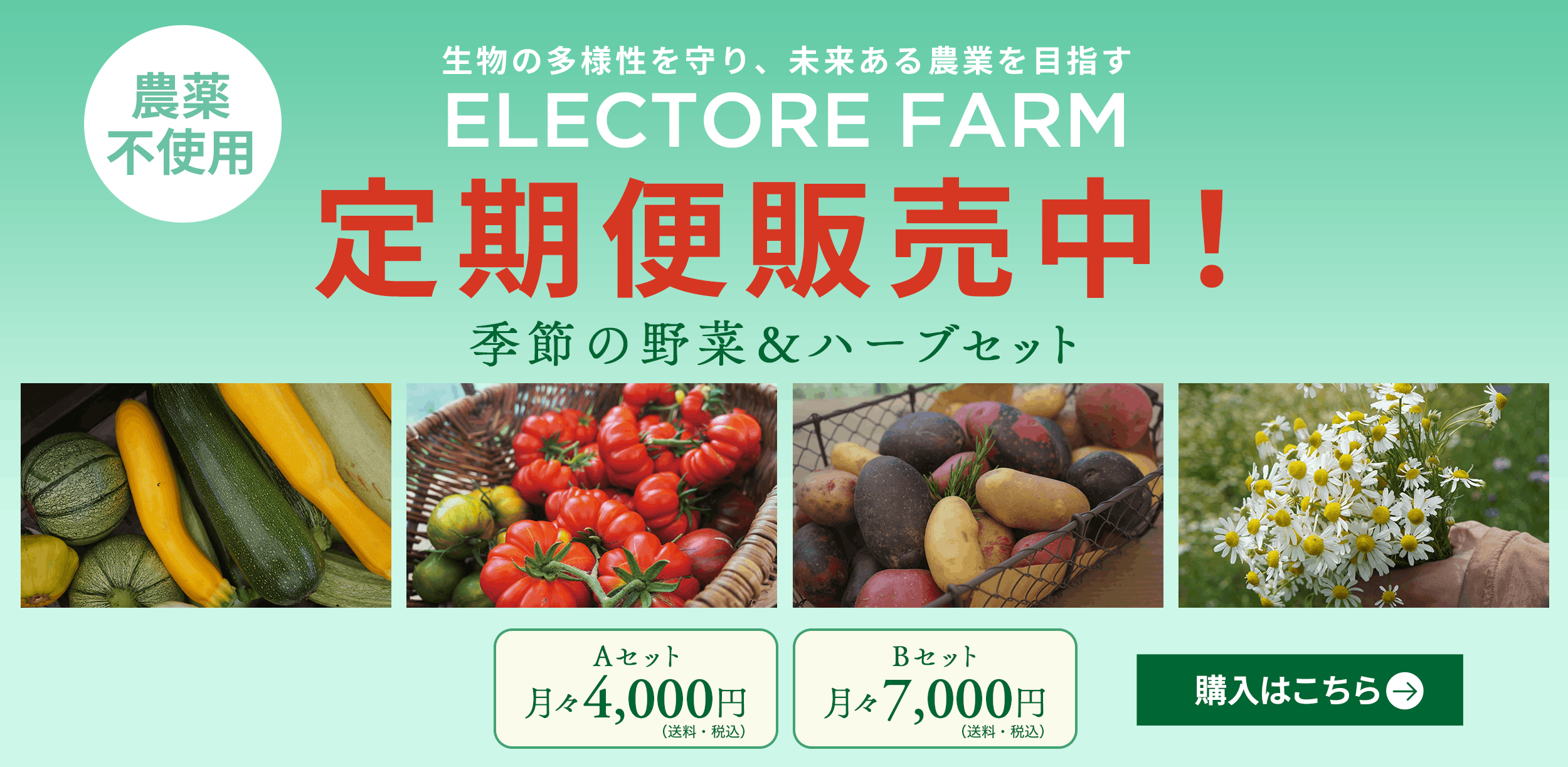 エレクトーレファーム 定期便2026スタート