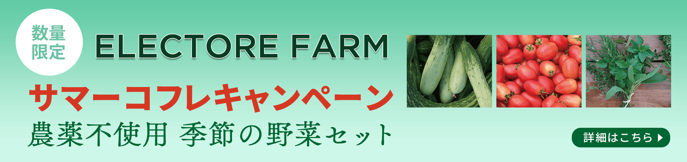 エレクトーレファーム 定期便2026スタート
