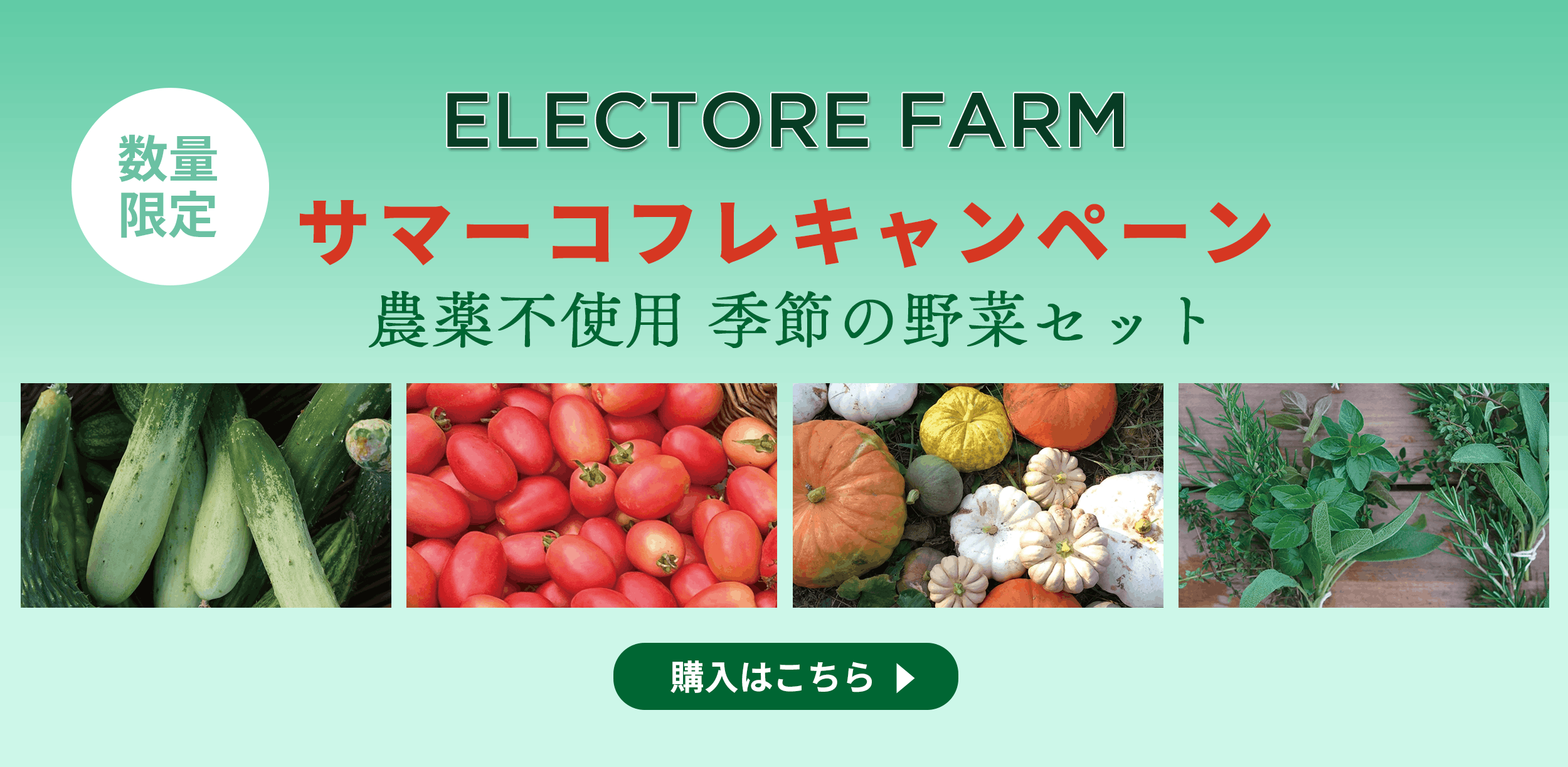 エレクトーレ/ELECTORE公式サイト ｜ 10秒フェイストリートメント