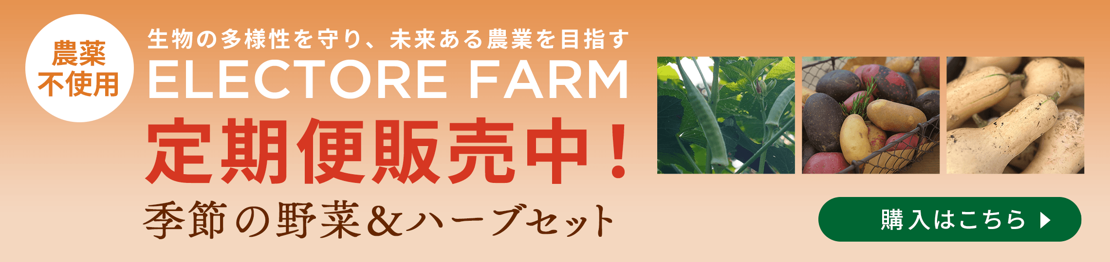 エレクトーレファーム 定期便2026スタート
