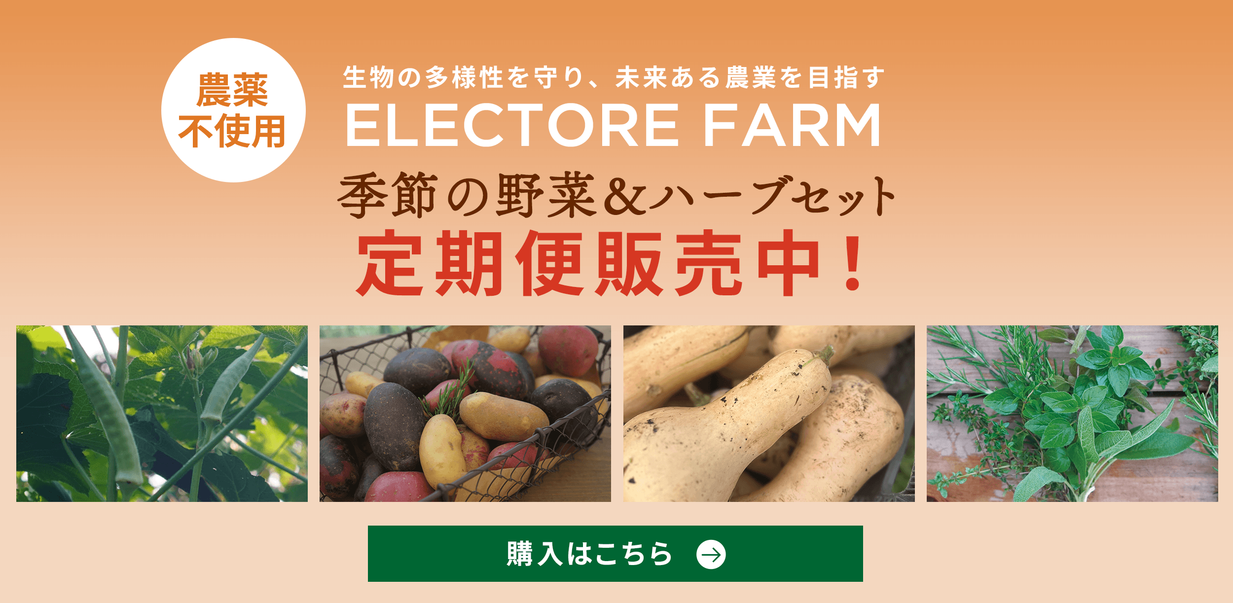 バナー