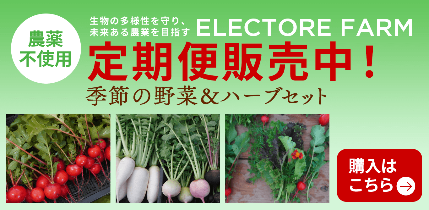 エレクトーレファーム 定期便2026スタート