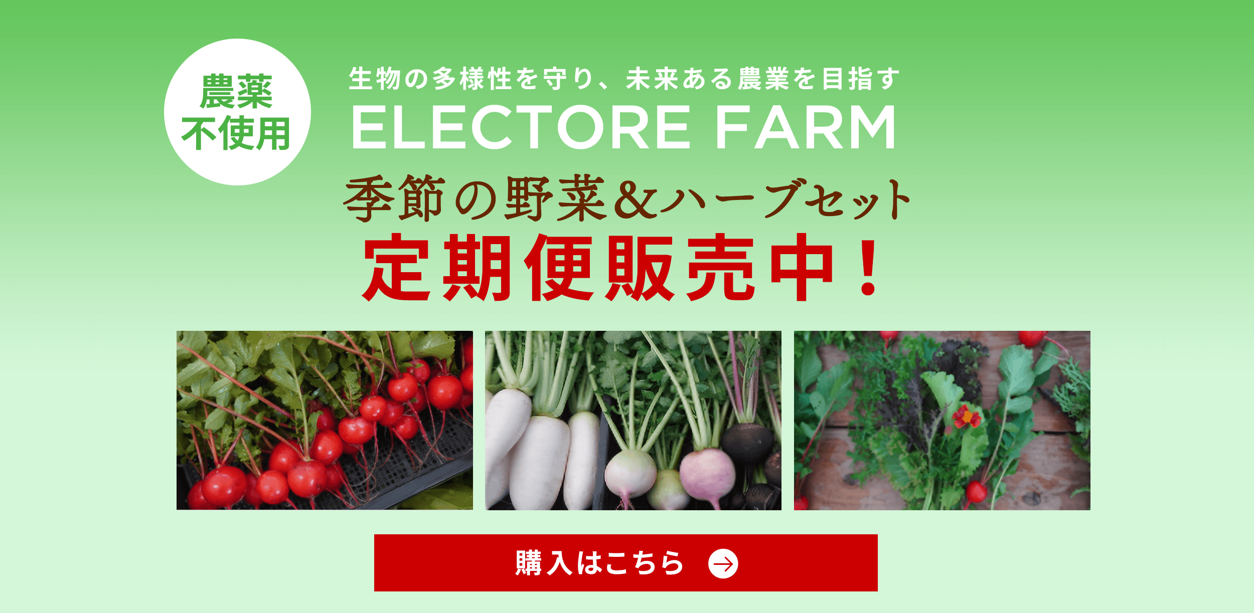 エレクトーレファーム 定期便2026スタート