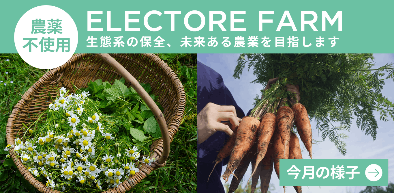 エレクトーレファーム