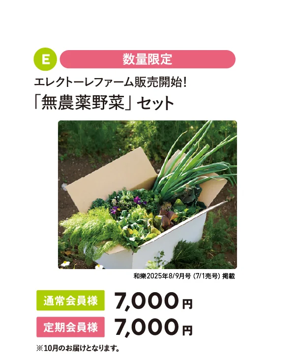 農薬不使用野菜セット