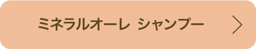 ミネラルオーレ アミノスカルプ シャンプー プースデシュヴゥー