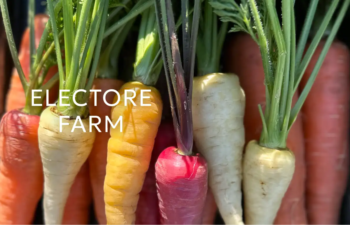 ELECTORE FARM