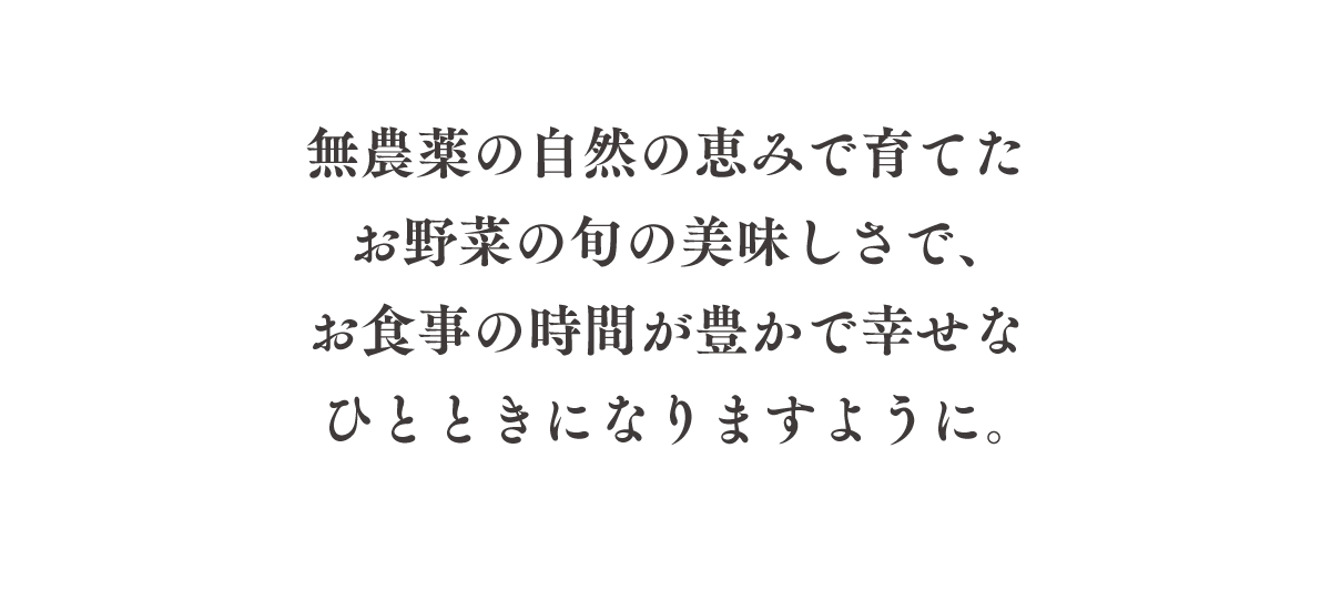 無農薬の自然の恵みで育てたお野菜の旬の美味しさで、お食事の時間が豊かで幸せなひとときになりますように。