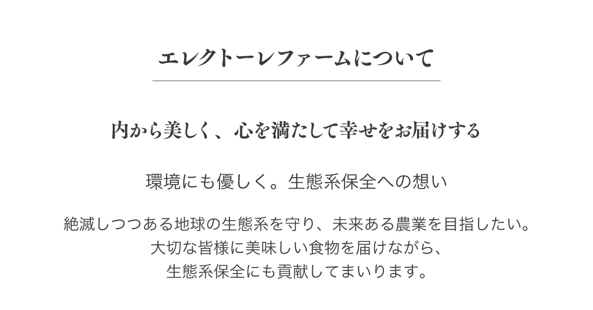 エレクトーレファームについて