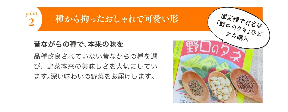 ポイント2 種から拘ったおしゃれで可愛い形