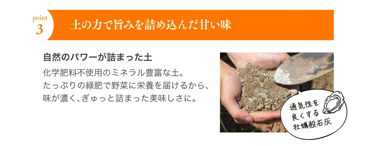 ポイント3 土の力で旨みを詰め込んだ甘い味