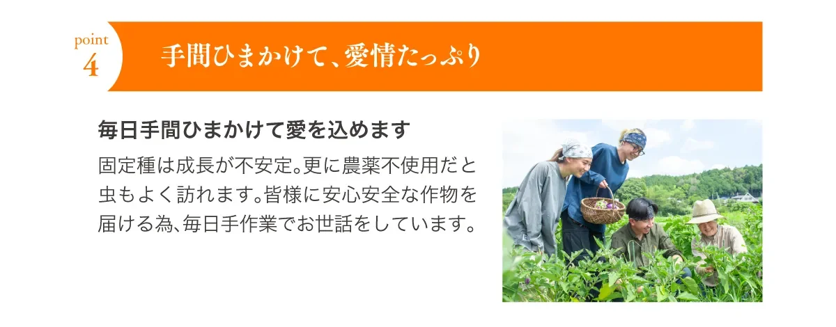 ポイント4 手間ひまかけて、愛情たっぷり