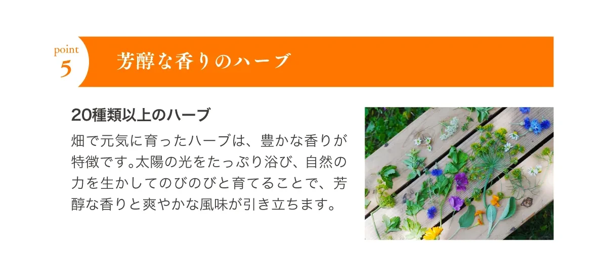 ポイント5 芳醇な香りのハーブ