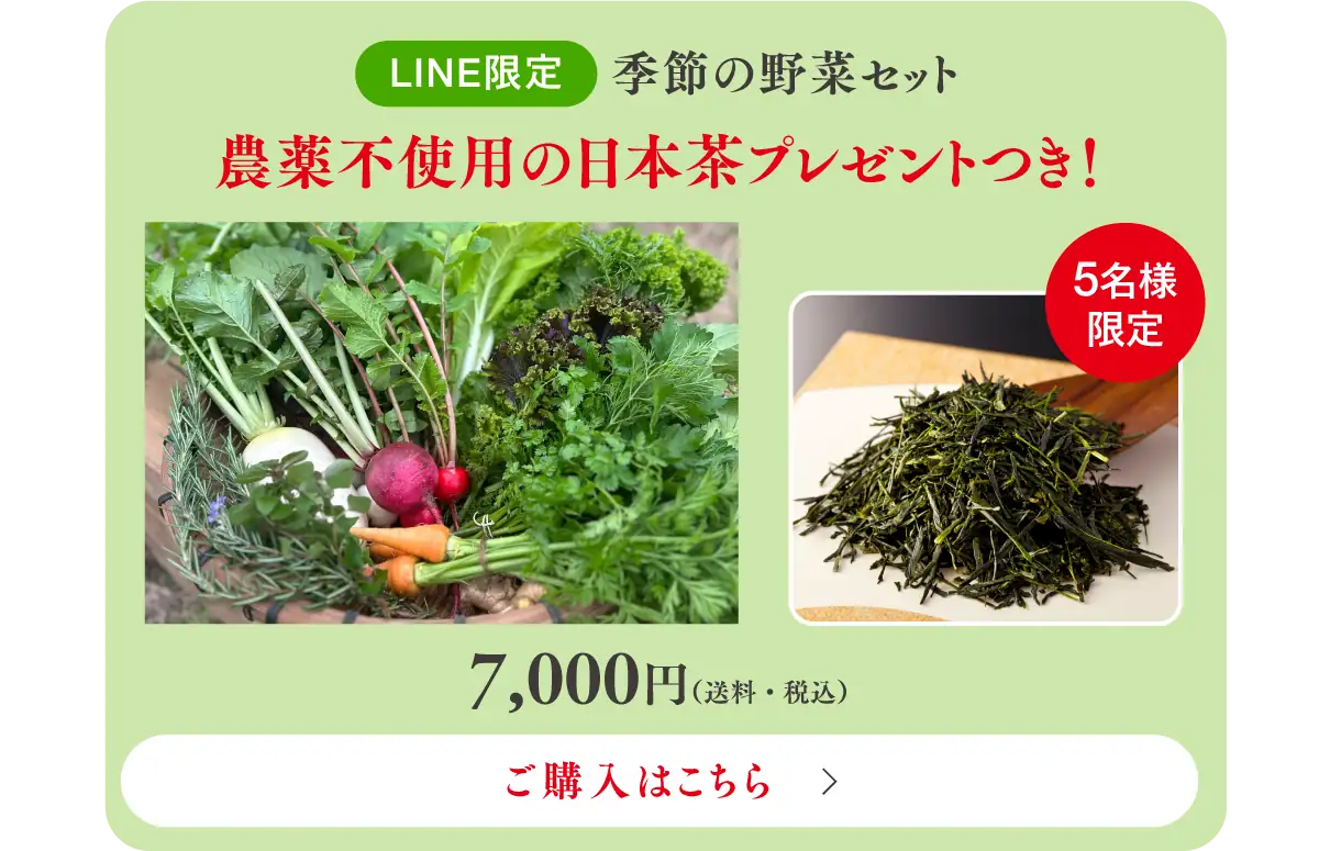 LINE限定季節の野菜セット　5名様限定 農薬不使用日本茶プレゼントつき　7,000円 ご購入はこちら