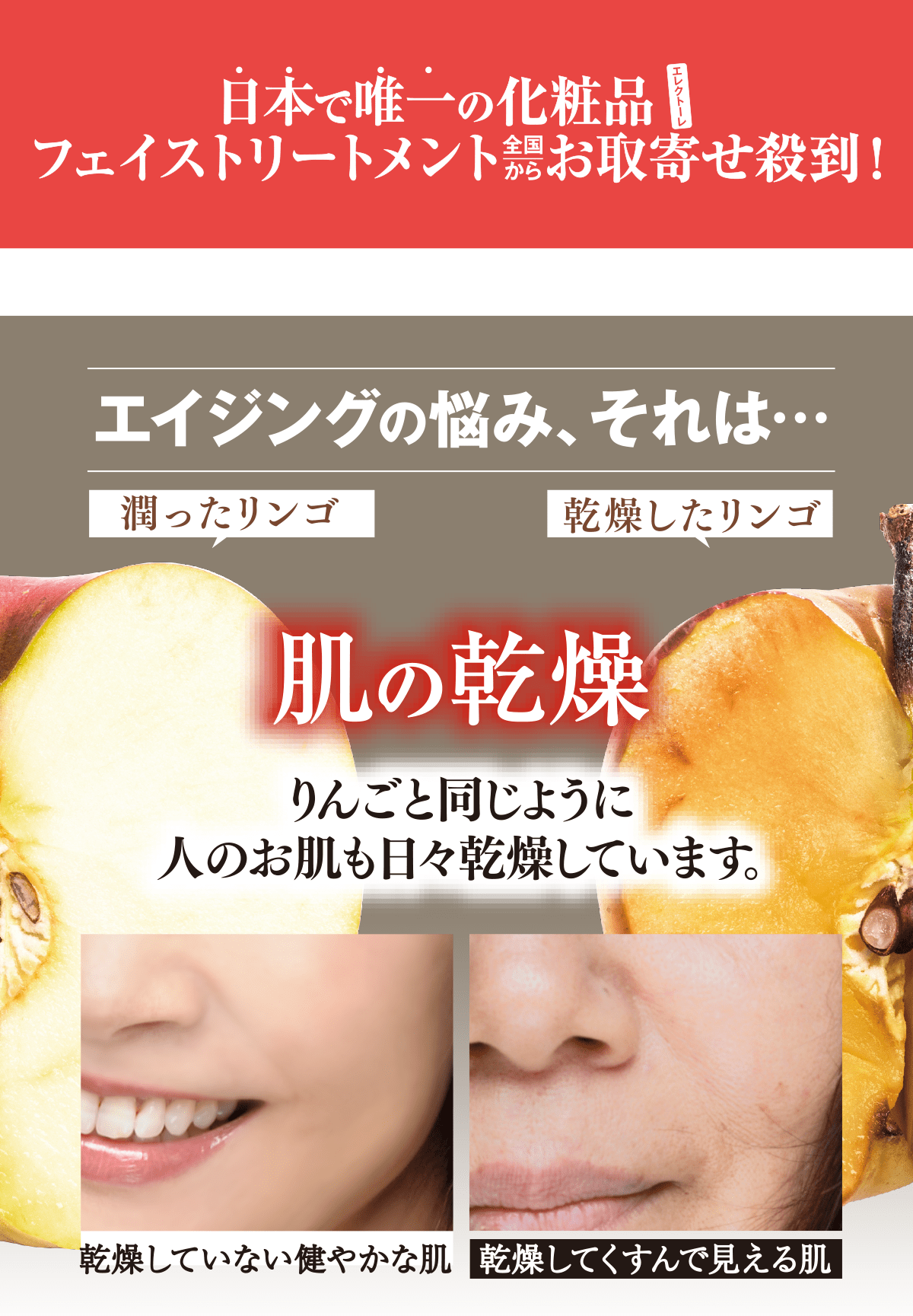 エレクトーレ 50%OFFキャンペーン