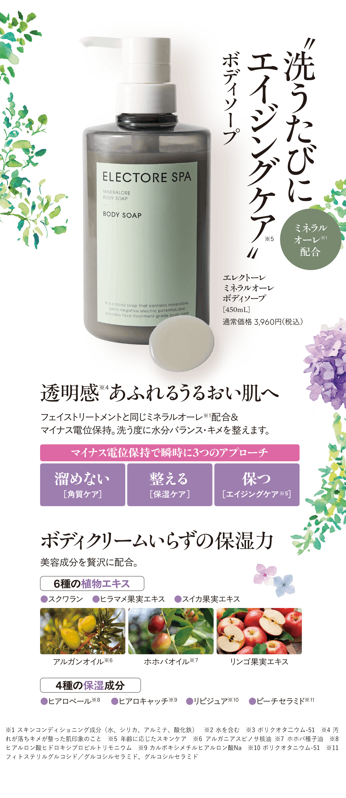 エレクトーレ 美肌力アップキャンペーン