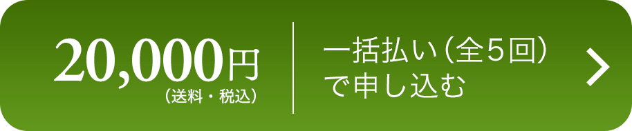 野菜セット