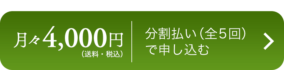 野菜セット