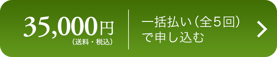 野菜セット