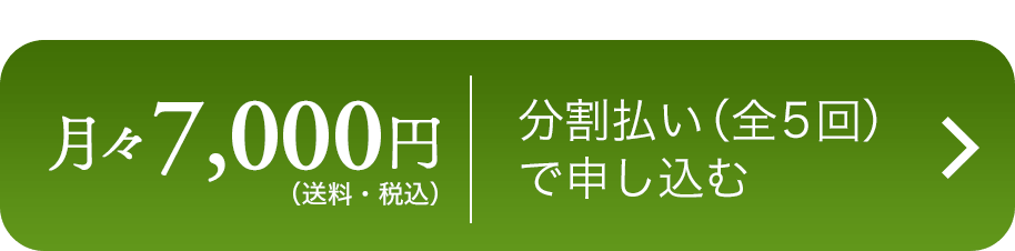 野菜セット