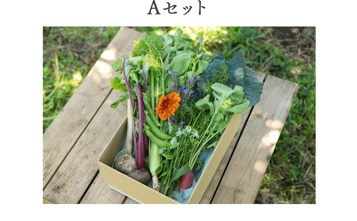 野菜セット
