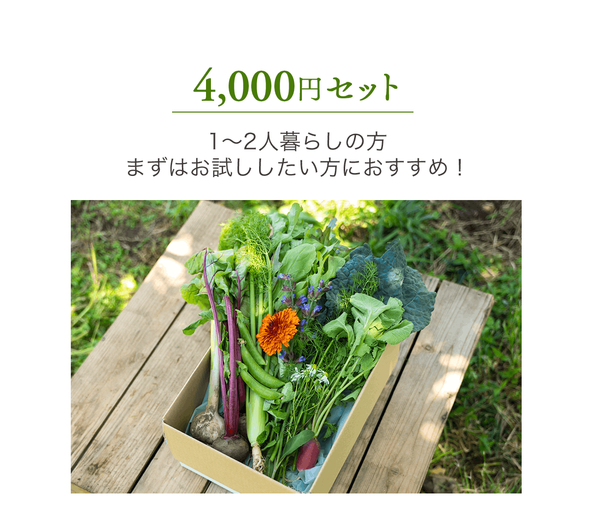 野菜セット
