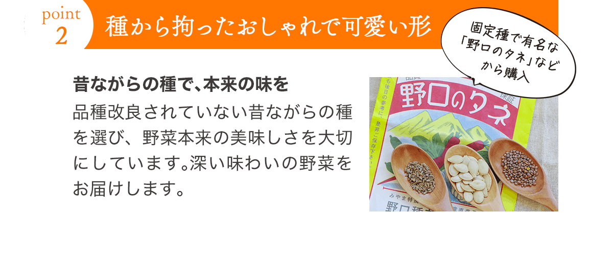 ポイント2 種から拘ったおしゃれで可愛い形