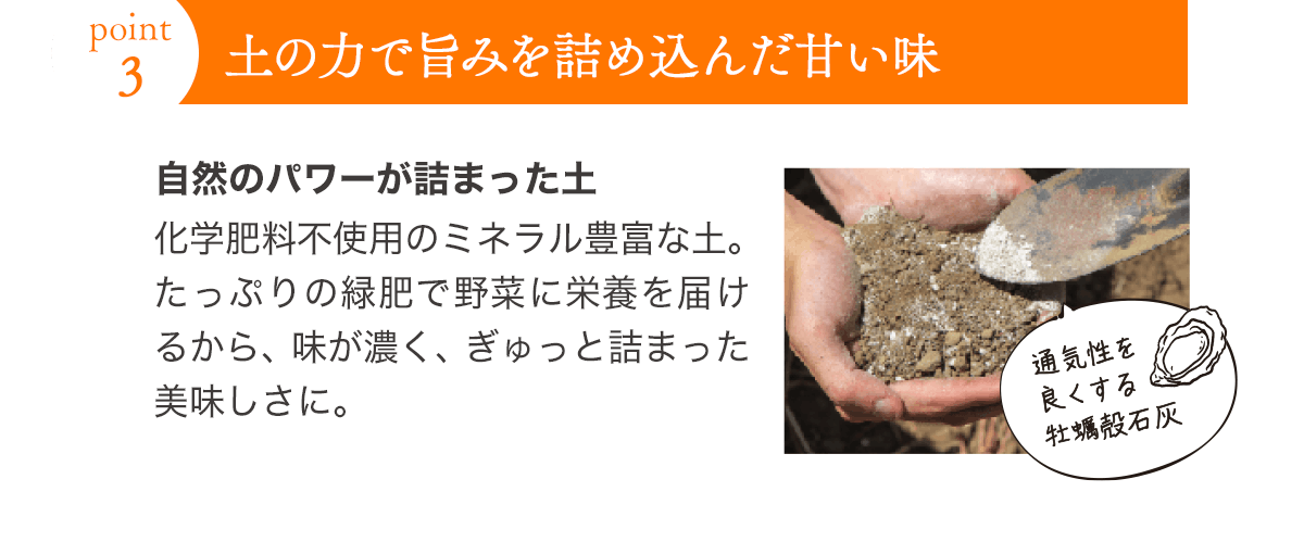 ポイント3 土の力で旨みを詰め込んだ甘い味