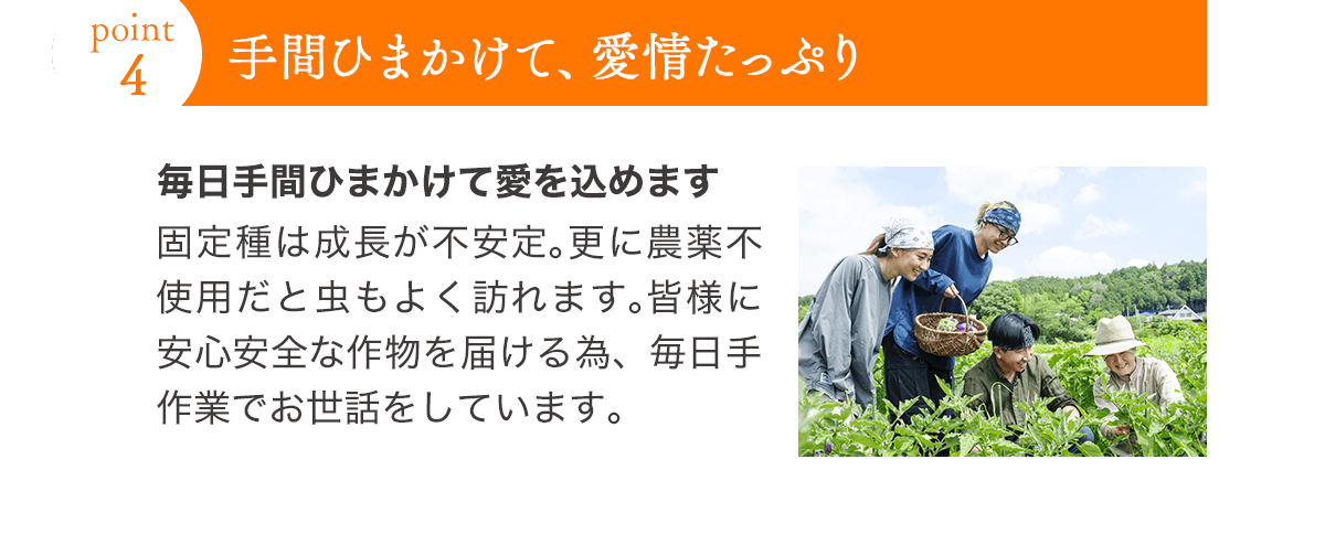 ポイント4 手間ひまかけて、愛情たっぷり